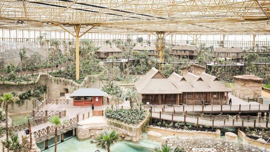 Una selva bajo cristal: abre el mayor invernadero tropical del mundo con hotel subacu&aacute;tico