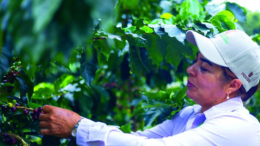 M&aacute;s variedad y mejor manejo duplican las cosechas del caf&eacute;