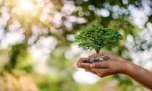 Silencio administrativo: el costo invisible de la demora ambiental