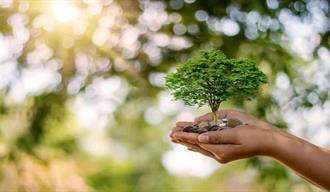 Silencio administrativo: el costo invisible de la demora ambiental