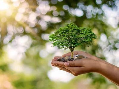 El costo invisible de la demora ambiental