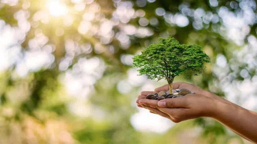 Silencio administrativo: el costo invisible de la demora ambiental