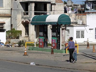 Cuba recurre a yuntas de bueyes en el campo ante crisis energética