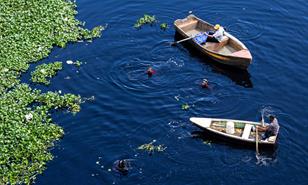 Cinco buzos participan en b&uacute;squeda de motorista que cay&oacute; al r&iacute;o Isabela durante accidente