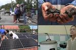 En Cuba, carbón y paneles solares para sobrellevar la crisis energética