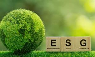 Empresas dominicanas avanzan en sostenibilidad con retos a&uacute;n sin resolver