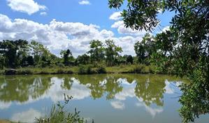 Investigan muerte de prospecto de b&eacute;isbol hallado en laguna detr&aacute;s de academia