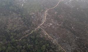 La deforestaci&oacute;n en la Amazon&iacute;a brasile&ntilde;a cae un 35 % en los &uacute;ltimos seis meses