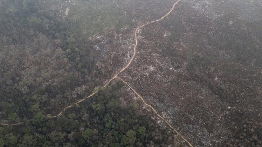 La deforestaci&oacute;n en la Amazon&iacute;a brasile&ntilde;a cae un 35 % en los &uacute;ltimos seis meses