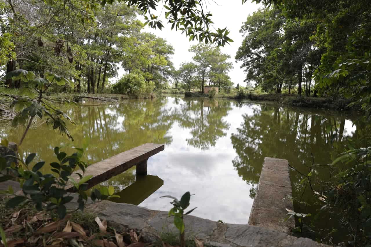 Agentes apostados en la zona indicaron que la laguna es artificial.&nbsp;