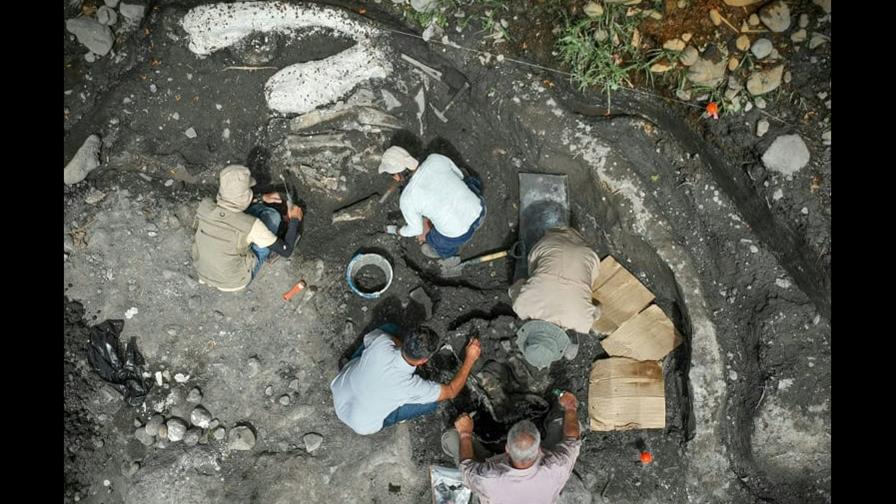 Hallan en Costa Rica fósiles de perezoso y mastodonte de unos 40,000 años de antigüedad