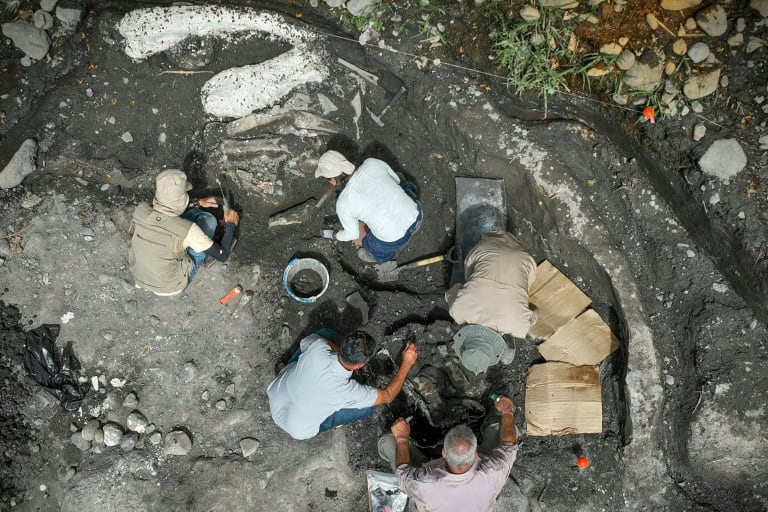 Hallan en Costa Rica fósiles de perezoso y mastodonte de unos 40,000 años de antigüedad Hallan en Costa Rica fósiles de perezoso y mastodonte de unos 40,000 años de antigüedad