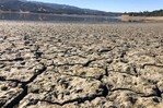 Alerta sanitaria por ola de calor en Inglaterra
