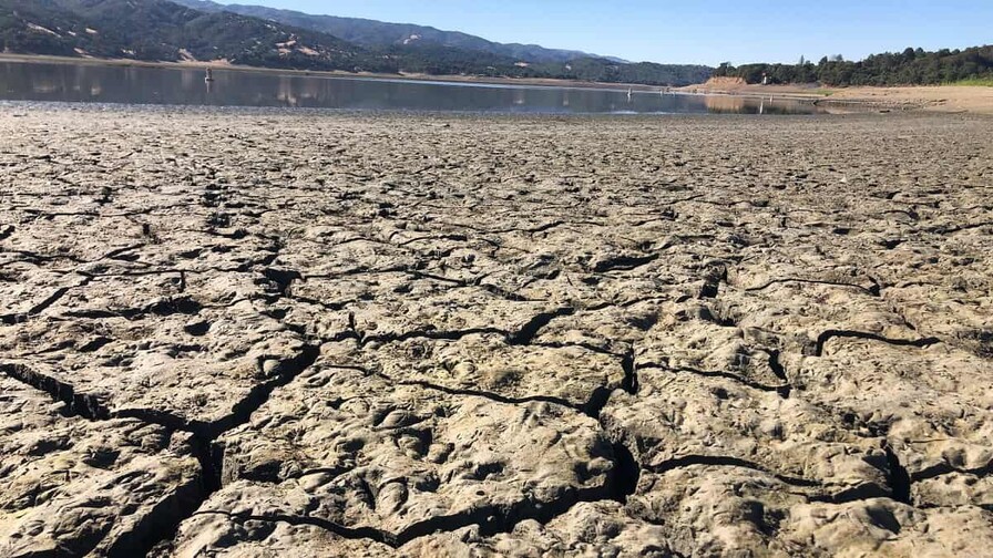 EE. UU. advierte de la expansi&oacute;n de sequ&iacute;a extrema en Florida en medio de alerta en Miami