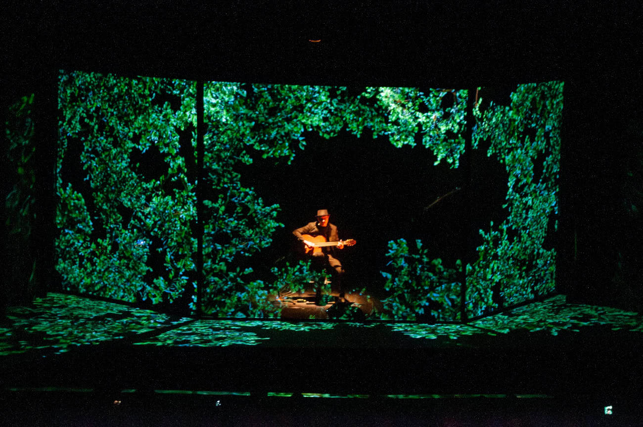 Jos&eacute; Antonio Rodr&iacute;guez en un momento del concierto.