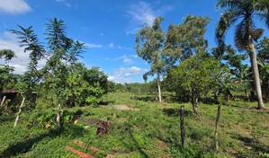 Nazario Mercedes: el recuerdo de un "monstruo" que a&uacute;n persiste en Hato Viejo