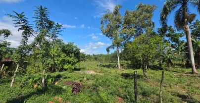 Nazario Mercedes: el recuerdo de un "monstruo" que a&uacute;n persiste en Hato Viejo