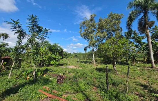 Nazario Mercedes: el recuerdo de un "monstruo" que a&uacute;n persiste en Hato Viejo