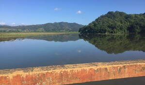Academia de Ciencias pide intervenci&oacute;n en la presa de Hatillo ante deterioro ambiental