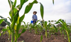 Agricultores critican baja productividad agr&iacute;cola y dependencia de importaciones en M&eacute;xico