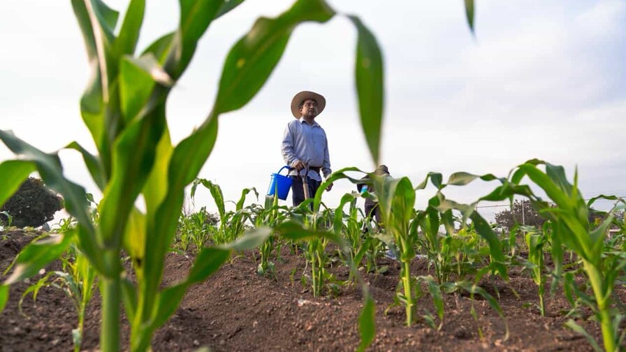 Agricultores critican baja productividad agr&iacute;cola y dependencia de importaciones en M&eacute;xico