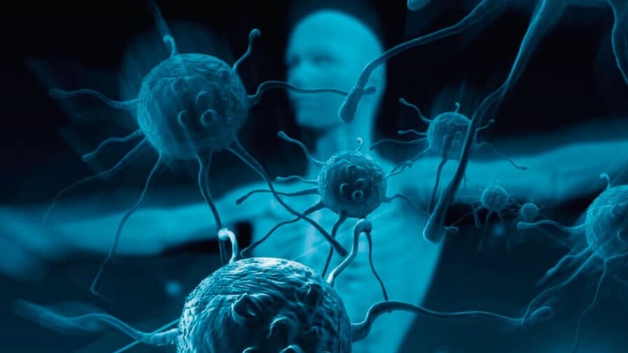 Edad, sexo biológico y genes, principales factores que moldean la respuesta inmunitaria Edad, sexo biológico y genes, principales factores que moldean la respuesta inmunitaria