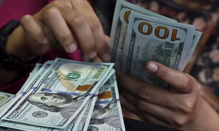 El d&oacute;lar frena la ca&iacute;da ante el peso dominicano y el precio del petr&oacute;leo modera su alza