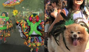 Carnaval para todos: de los bate bola hasta desfiles caninos sacuden Rio de Janeiro