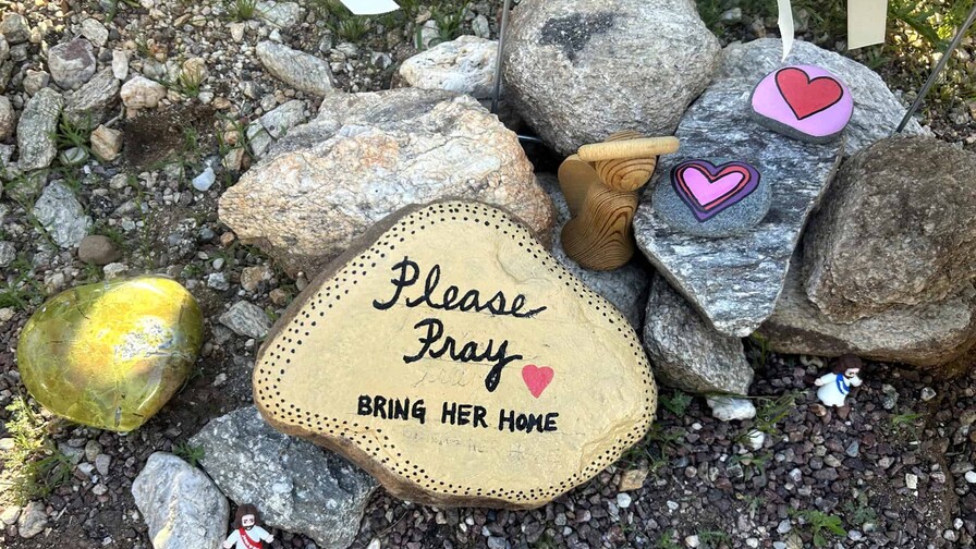 La presentadora Savannah Guthrie insta al secuestrador de su madre a hacer lo correcto La presentadora Savannah Guthrie insta al secuestrador de su madre a hacer lo correcto