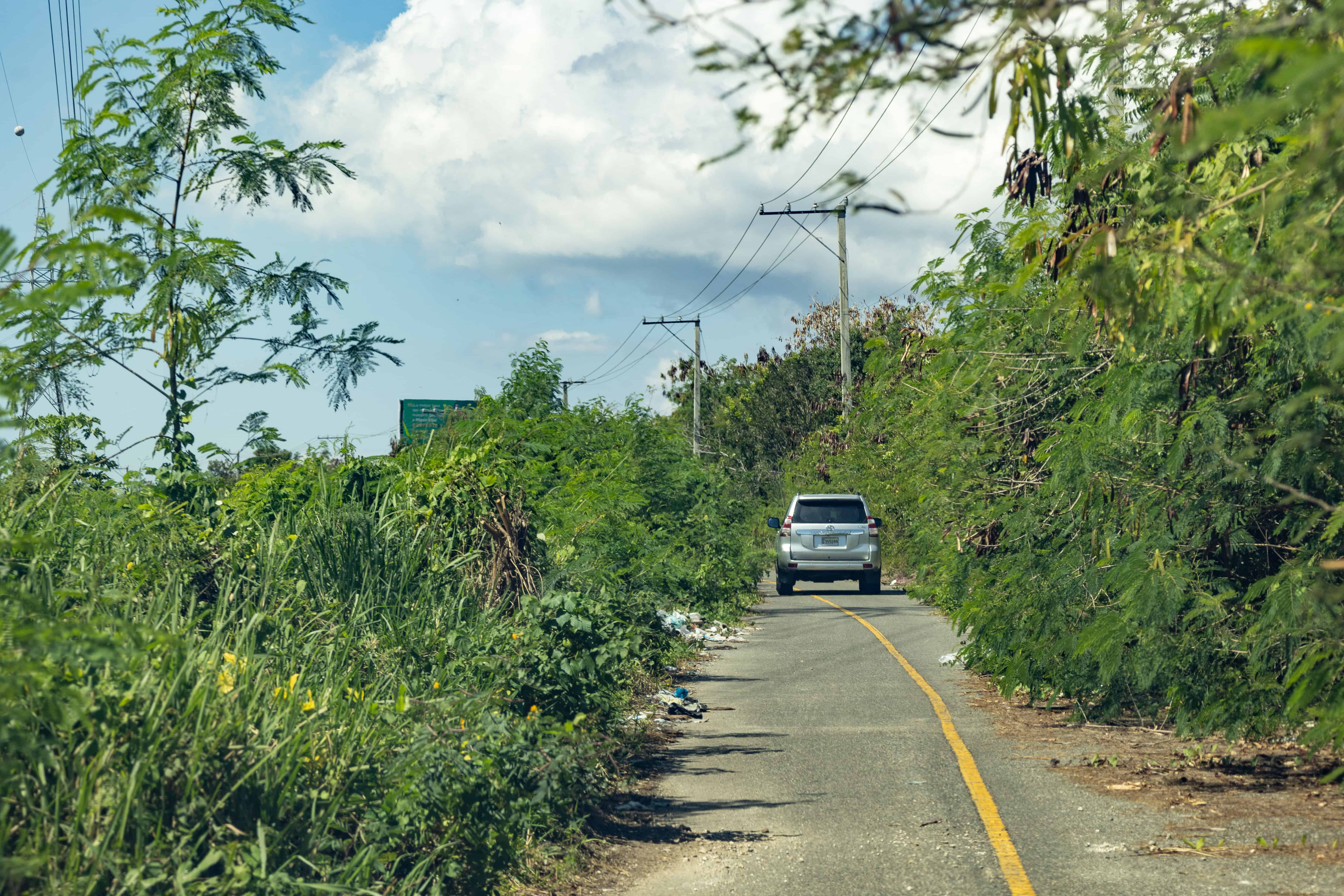 Las ramas pegan a los veh&iacute;culos en la marginal de dos carriles que se reduce a uno por la maleza y basura.