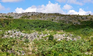 Inician obras provisionales para transformar el vertedero de Duquesa