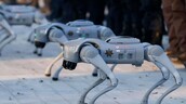 Perros robots reforzar&aacute;n la seguridad durante los partidos del Mundial en norte de M&eacute;xico