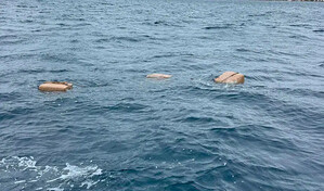 Puerto Rico: contrabandistas arrojan al oc&eacute;ano 954 kilos de coca&iacute;na para no ser capturados