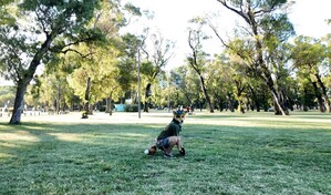 El junte therian en el parque Independencia: &iquest;b&uacute;squeda de identidad o moda? T&uacute; decides