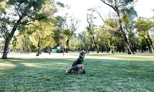 El junte therian en el parque Independencia: &iquest;b&uacute;squeda de identidad o moda? T&uacute; decides