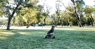 El junte therian en el parque Independencia: &iquest;b&uacute;squeda de identidad o moda? T&uacute; decides