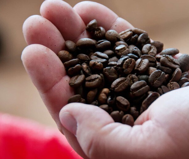 Más calor, menos café: el cambio climático ya impacta la producción mundial Más calor, menos café: el cambio climático ya impacta la producción mundial