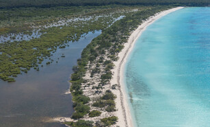 Inejecuci&oacute;n sucesiva de la Ley 266-04 fue base para sentencia del TSA sobre terrenos parque Jaragua