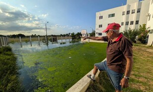Denuncian aguas residuales acumuladas y muerte de ganado en "Mi Vivienda" de Santiago Rodr&iacute;guez