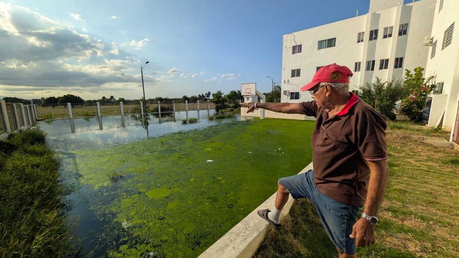 Denuncian aguas residuales acumuladas y muerte de ganado en "Mi Vivienda" de Santiago Rodríguez Denuncian aguas residuales acumuladas y muerte de ganado en "Mi Vivienda" de Santiago Rodríguez