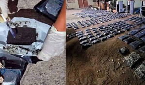 Decomisan en Bolivia 356 kilos de marihuana h&uacute;meda en encomiendas que llegaron de EE. UU.