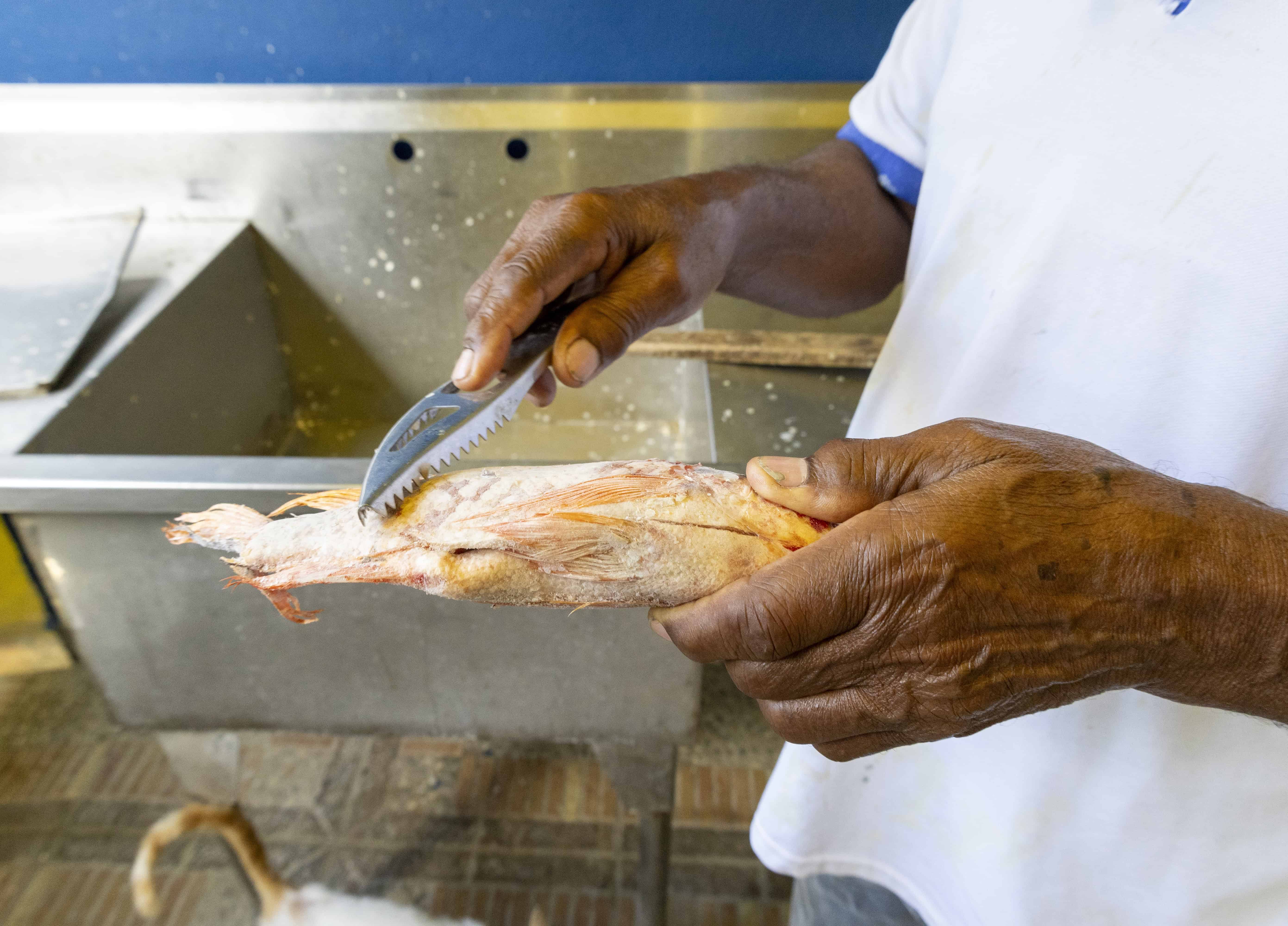 [object HTMLTextAreaElement]