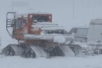 Recuperan los cuerpos de los nueve esquiadores muertos en la avalancha en EE.UU. Recuperan los cuerpos de los nueve esquiadores muertos en la avalancha en EE.UU.