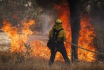 Incendio de m&aacute;s de 10,000 hect&aacute;reas se expande sin control en los Everglades en Florida