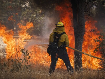 Everglades en peligro por incendio forestal en Florida