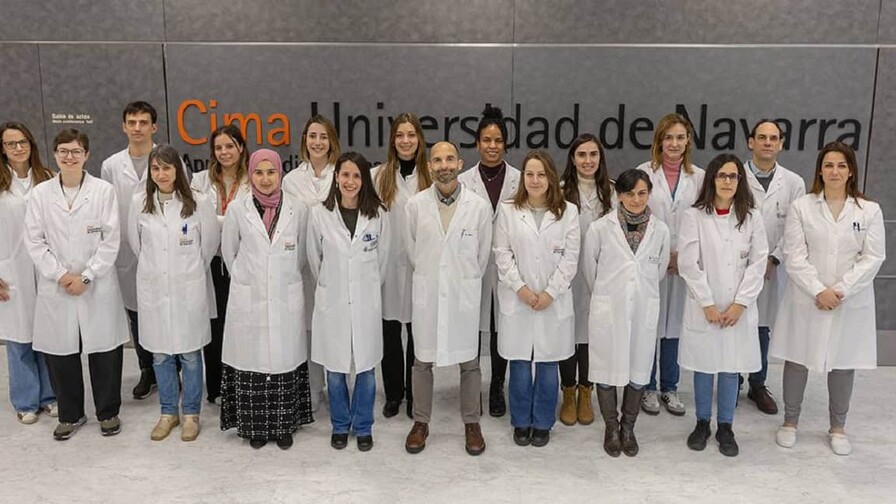 Identifican perfil inmunológico que predice el riesgo de infección en el mieloma múltiple Identifican perfil inmunológico que predice el riesgo de infección en el mieloma múltiple