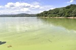 Pesca en ruinas y turismo en ca&iacute;da por la contaminaci&oacute;n del agua en la presa de Hatillo