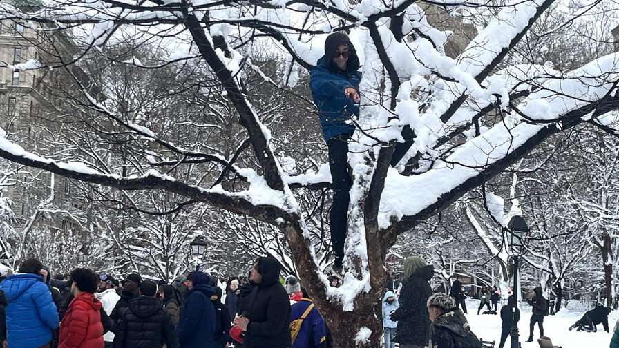 La ventisca hist&oacute;rica en Nueva York da paso a una batalla campal de bolas de nieve