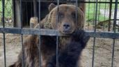 ONG denuncia maltrato y comercializaci&oacute;n de animales en acuario argentino de Mar del Plata