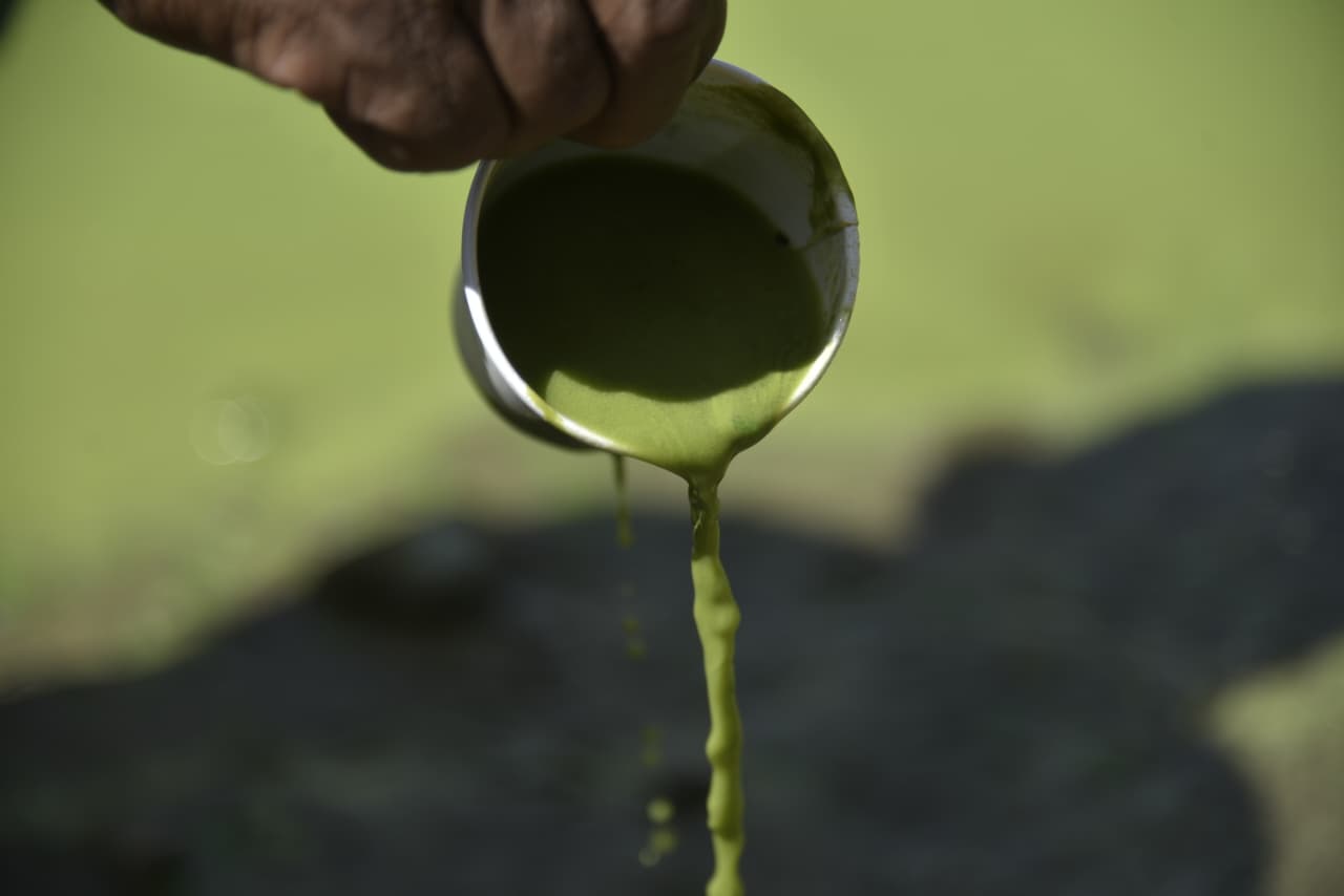 La sustancia que flota en la superficie tiene apariencia aceitosa, dicen lugare&ntilde;os.